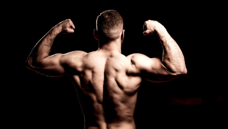 Building Muscle - What's Going On Under the Hood? Why Can We Build Muscle? And How to Effectively Build It