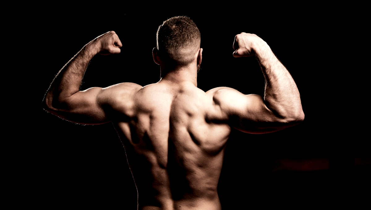 Building Muscle - What's Going On Under the Hood? Why Can We Build Muscle? And How to Effectively Build It